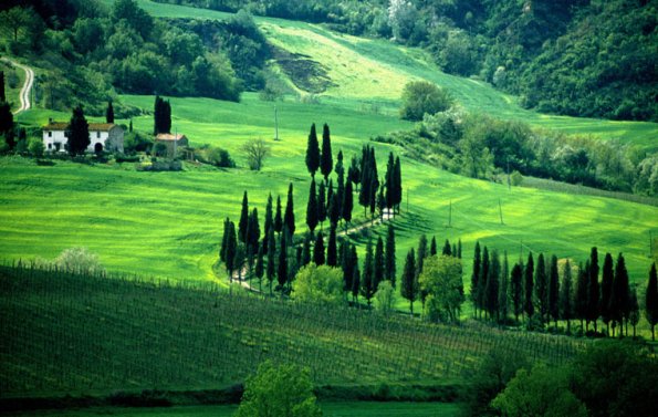 Italy, Tuscany, Chianti, Baccaiano near Florence, 2001