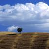 Europe, Italy, Val d'Orcia