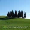 Val d'Orcia